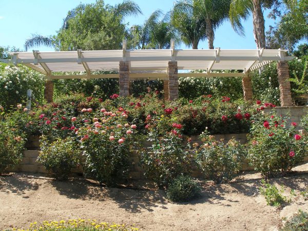 Palomar Pergola 5